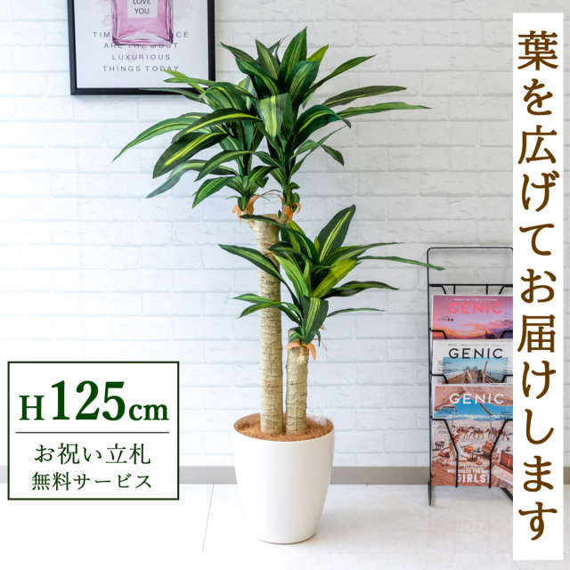 フェイクグリーン マッサン(幸福の木) H約125cm 鉢付き / 観葉植物 フェイク 人工観葉植物 造花 店舗 装飾 開店 開業 移転 祝い ギフト プレゼント おしゃれ 住宅展示場 モデルハウス オフィス 立札無料 PG016-A265WH