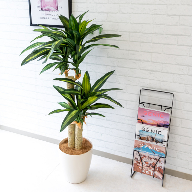 人工 観葉植物 フェイク グリーン マッサン(幸福の木) H約125cm 店舗