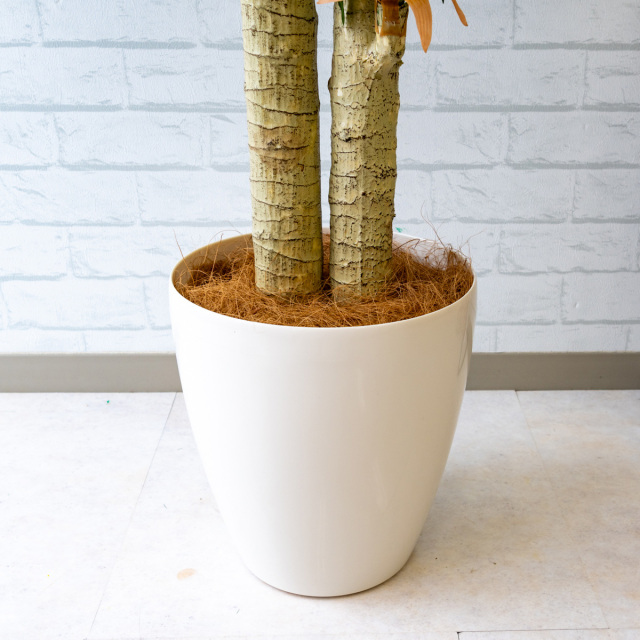 人工 観葉植物 フェイク グリーン マッサン(幸福の木) H約120cm 店舗