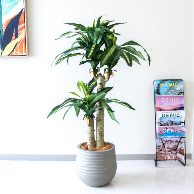 人工 観葉植物 フェイク グリーン ユッカポット H約120cm 店舗 装飾