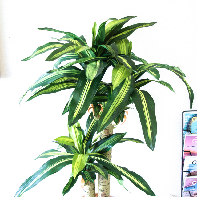 人工 観葉植物 フェイク グリーン ユッカポット H約120cm 店舗 装飾
