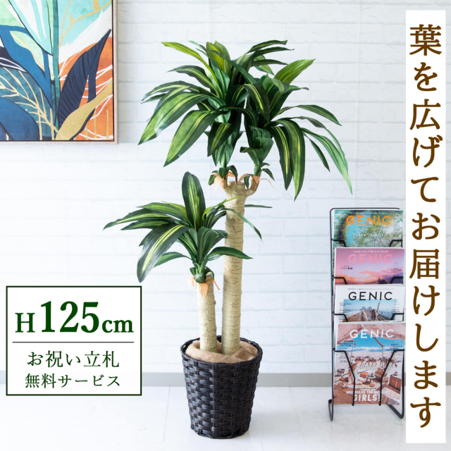 フェイクグリーン マッサン(幸福の木) H約125cm 鉢付き / 観葉植物 フェイク 人工観葉植物 造花 店舗 装飾 開店 開業 移転 祝い ギフト プレゼント おしゃれ 住宅展示場 モデルハウス オフィス 立札無料 PG016-MEL26DB