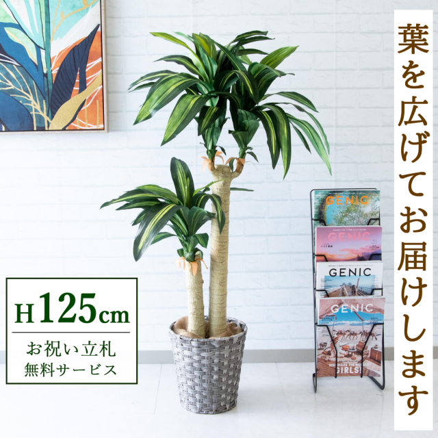 フェイクグリーン マッサン(幸福の木) H約125cm 鉢付き / 観葉植物 フェイク 人工観葉植物 造花 店舗 装飾 開店 開業 移転 祝い ギフト プレゼント おしゃれ 住宅展示場 モデルハウス オフィス 立札無料 PG016-MEL26GY