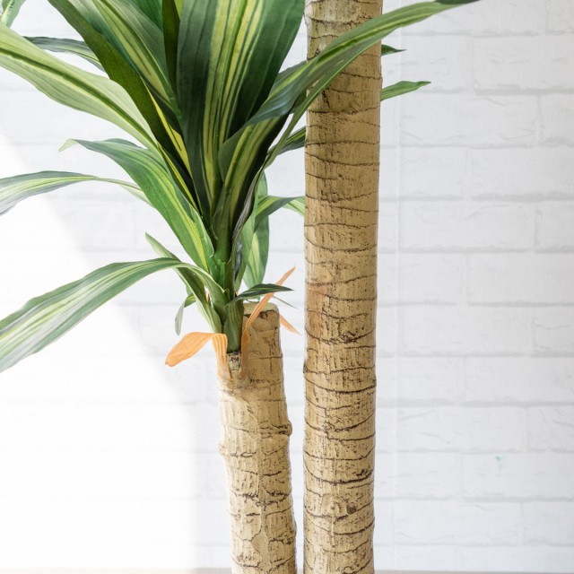 人工 観葉植物 フェイク グリーン マッサン(幸福の木) H約125cm 店舗  