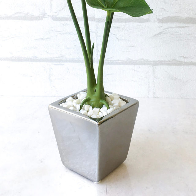 専用です。 デイトナ プレミアムゾーン オイルフィラーキャップ ゴールド