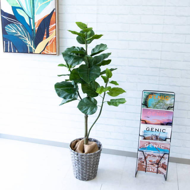 人工 観葉植物 フェイク グリーン ウンベラータ H約120cm 店舗 装飾