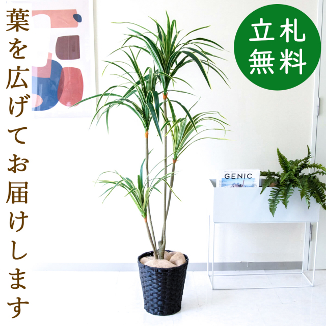 フェイクグリーン ユッカ H約155cm 鉢付き / 観葉植物 フェイク 人工観葉植物 造花 店舗 装飾 開店 開業 移転 祝い ギフト プレゼント おしゃれ 住宅展示場 モデルハウス オフィス 立札無料 PG079-MEL26DB