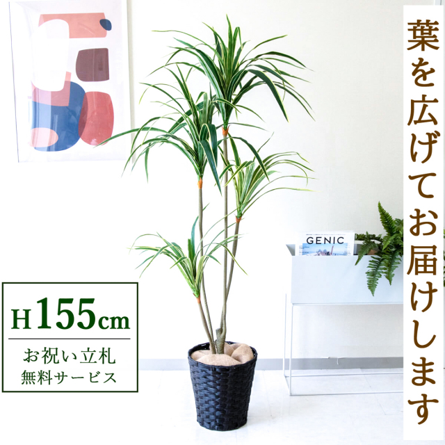 フェイクグリーン ユッカ H約155cm 鉢付き / 観葉植物 フェイク 人工観葉植物 造花 店舗 装飾 開店 開業 移転 祝い ギフト プレゼント おしゃれ 住宅展示場 モデルハウス オフィス 立札無料 PG079-MEL26DB