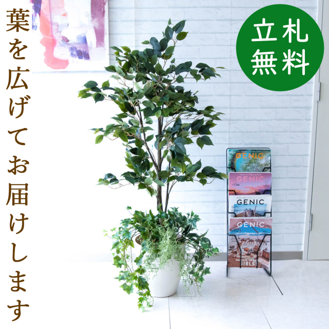 フェイクグリーン フィカス ベンジャミン H約135cm 鉢付き / 観葉植物 フェイク 人工観葉植物 造花 店舗 装飾 開店 開業 移転 祝い ギフト プレゼント おしゃれ 住宅展示場 モデルハウス オフィス 立札無料 PG080-A265WH-UG2