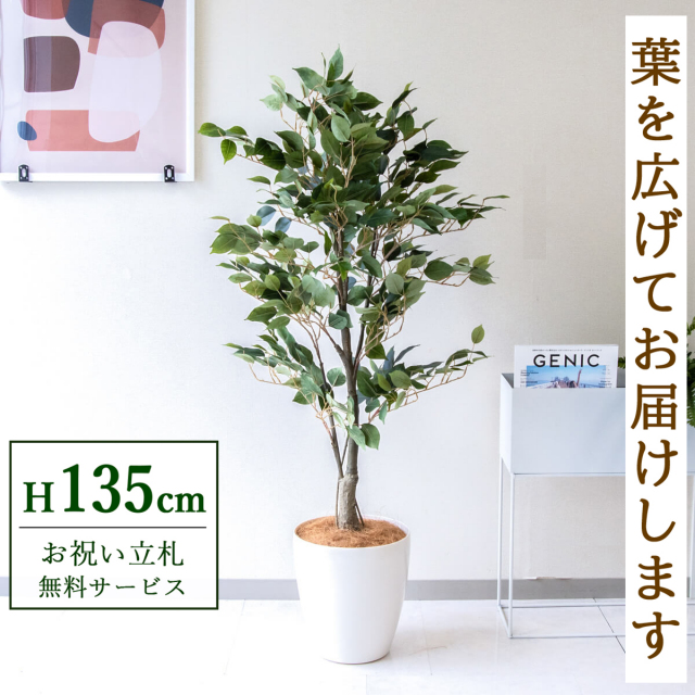 フェイクグリーン フィカス ベンジャミン H約135cm 鉢付き / 観葉植物 フェイク 人工観葉植物 造花 店舗 装飾 開店 開業 移転 祝い ギフト プレゼント おしゃれ 住宅展示場 モデルハウス オフィス 立札無料 PG080-A265WH