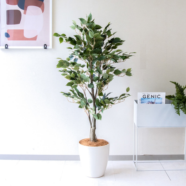 光触媒 人工観葉植物 クラッシックフィカス13773 遅し 