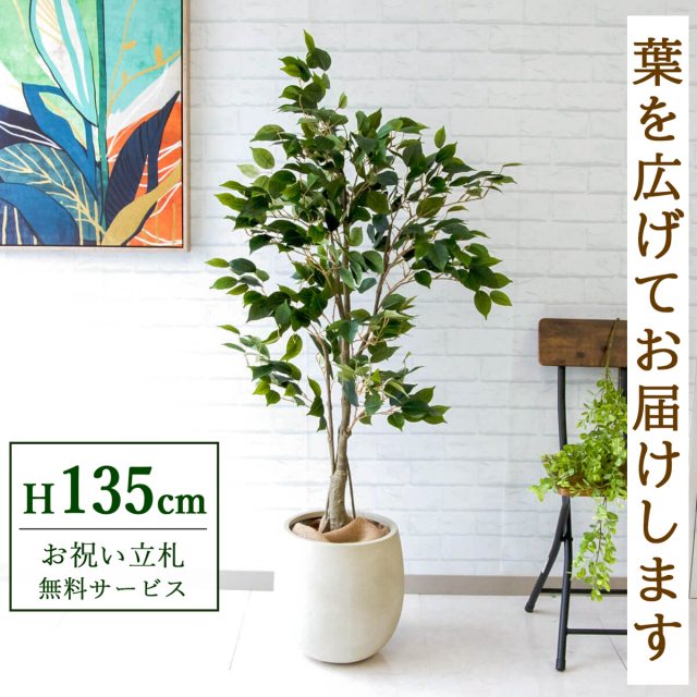 フェイクグリーン フィカス ベンジャミン H約135cm 鉢付き / 観葉植物 フェイク 人工観葉植物 造花 店舗 装飾 開店 開業 移転 祝い ギフト プレゼント おしゃれ 住宅展示場 モデルハウス オフィス 立札無料 PG080-BAL30IV