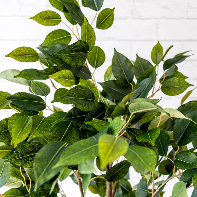 人工 観葉植物 フェイク グリーン クラシックフィカス H約135cm 店舗