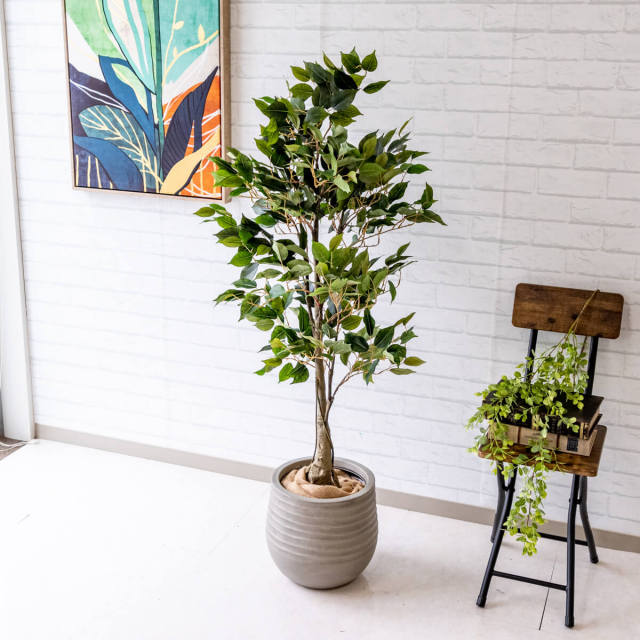 人工 観葉植物 フェイク グリーン クラシックフィカス H約135cm 店舗