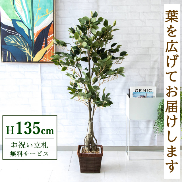 フェイクグリーン フィカス ベンジャミン H約135cm 鉢付き / 観葉植物 フェイク 人工観葉植物 造花 店舗 装飾 開店 開業 移転 祝い ギフト プレゼント おしゃれ 住宅展示場 モデルハウス オフィス 立札無料 PG080-KCS21BR