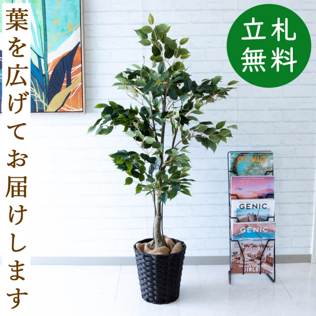 フェイクグリーン フィカス ベンジャミン H約135cm 鉢付き / 観葉植物 フェイク 人工観葉植物 造花 店舗 装飾 開店 開業 移転 祝い ギフト プレゼント おしゃれ 住宅展示場 モデルハウス オフィス 立札無料 PG080-MEL26DB