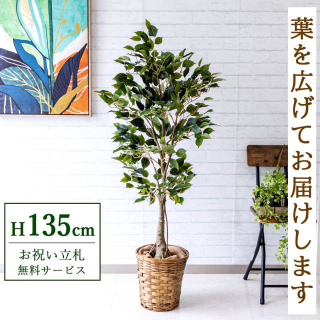 フェイクグリーン フィカス ベンジャミン H約135cm 鉢付き / 観葉植物 フェイク 人工観葉植物 造花 店舗 装飾 開店 開業 移転 祝い ギフト プレゼント おしゃれ 住宅展示場 モデルハウス オフィス 立札無料 PG080-S24
