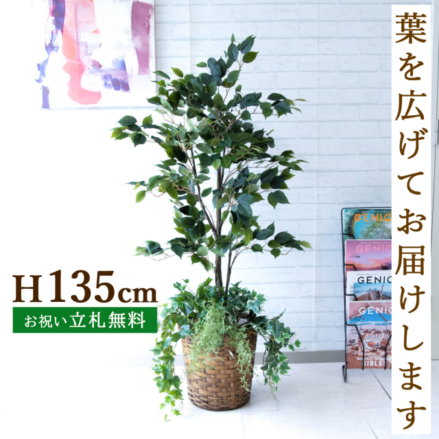 フェイクグリーン フィカス ベンジャミン H約135cm 鉢付き / 観葉植物 フェイク 人工観葉植物 造花 店舗 装飾 開店 開業 移転 祝い ギフト プレゼント おしゃれ 住宅展示場 モデルハウス オフィス 立札無料 PG080-S28-UG2