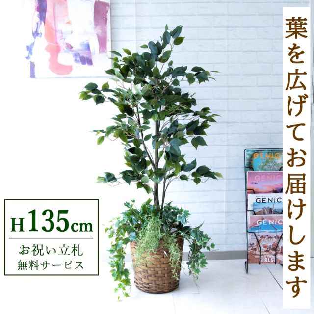 フェイクグリーン フィカス ベンジャミン H約135cm 鉢付き / 観葉植物 フェイク 人工観葉植物 造花 店舗 装飾 開店 開業 移転 祝い ギフト プレゼント おしゃれ 住宅展示場 モデルハウス オフィス 立札無料 PG080-S28-UG2