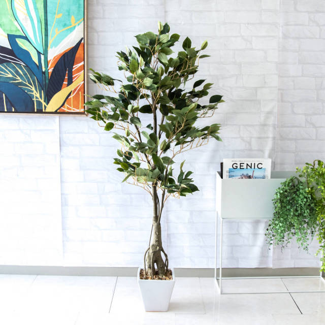 （552）【引き取り限定】【新品】造花 フェイクグリーン ベンジャミンフィカス 人工 観葉植物 フェイク グリーン クラシックフィカス H約135cm