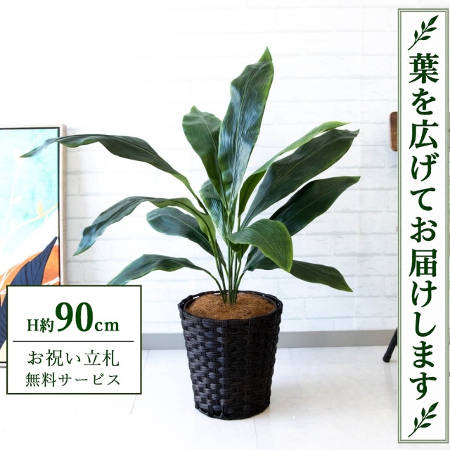 【すぐ飾れる】 フェイクグリーン ハラン H約90cm 鉢付き / 法人・開店祝い 店舗・オフィス装飾 空間演出 立札無料・造花/PG083-MEL26DB