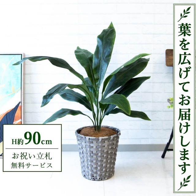 【すぐ飾れる】 フェイクグリーン ハラン H約90cm 鉢付き / 法人・開店祝い 店舗・オフィス装飾 空間演出 立札無料・造花/PG083-MEL26GY