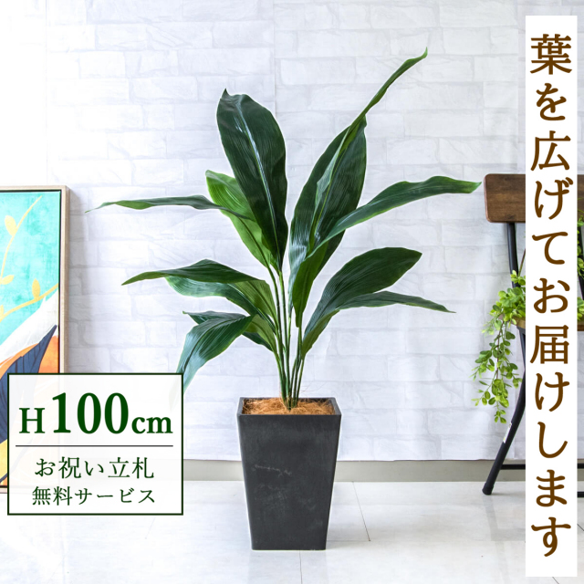 【すぐ飾れる】 フェイクグリーン ハラン 100cm  鉢付き / 法人・開店祝い 店舗・オフィス装飾 空間演出 立札無料・造花/PG083-Q20BK