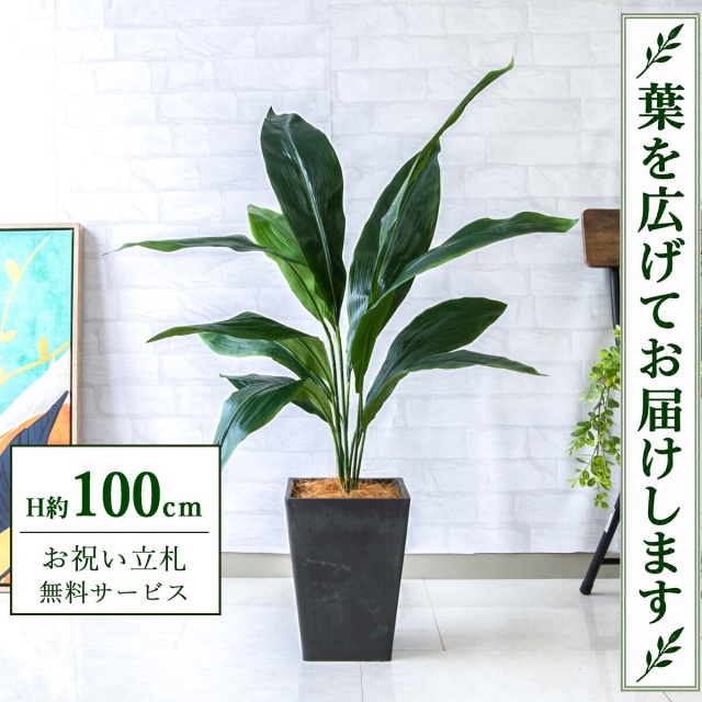 【すぐ飾れる】 フェイクグリーン ハラン H約100cm 鉢付き / 法人・開店祝い 店舗・オフィス装飾 空間演出 立札無料・造花/PG083-Q20BK