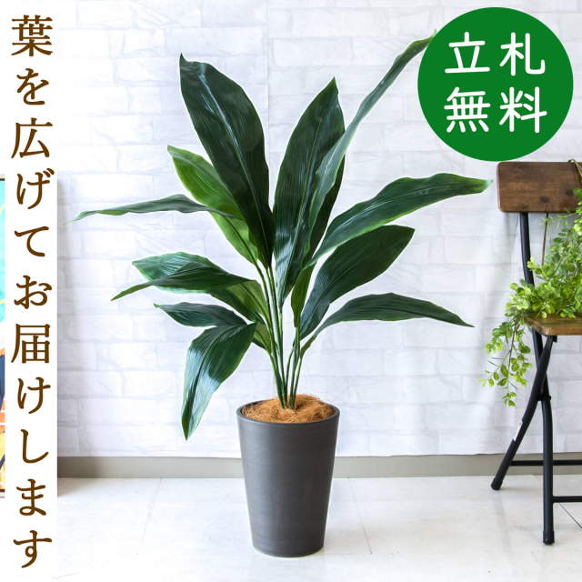 人工 観葉植物 フェイク グリーン ハラン H約100cm 店舗 装飾