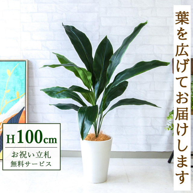 【すぐ飾れる】 フェイクグリーン ハラン 100cm  鉢付き / 法人・開店祝い 店舗・オフィス装飾 空間演出 立札無料・造花/PG083-X20WH