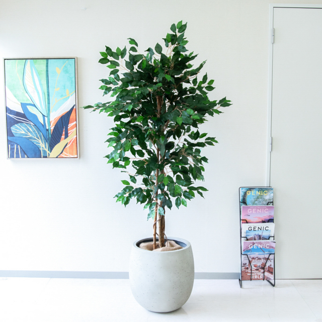 人工 観葉植物 フェイク グリーン ベンジャミンフィカスツリー H約