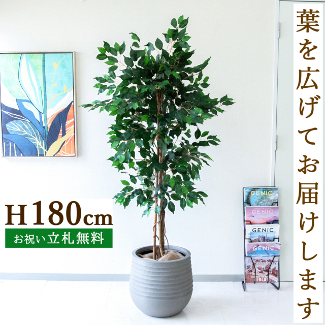 フェイクグリーン フィカス ベンジャミン ツリー H約170cm 鉢付き / 人工観葉植物 観葉植物 フェイク 造花 大型 大きい 店舗 装飾 開店 開業 移転 祝い ギフト プレゼント おしゃれ 住宅展示場 モデルハウス オフィス 立札無料 PG091-J40