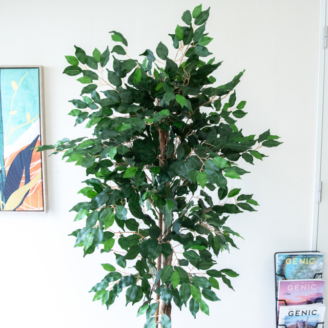 人工 観葉植物 フェイク グリーン ベンジャミンフィカスツリー H約