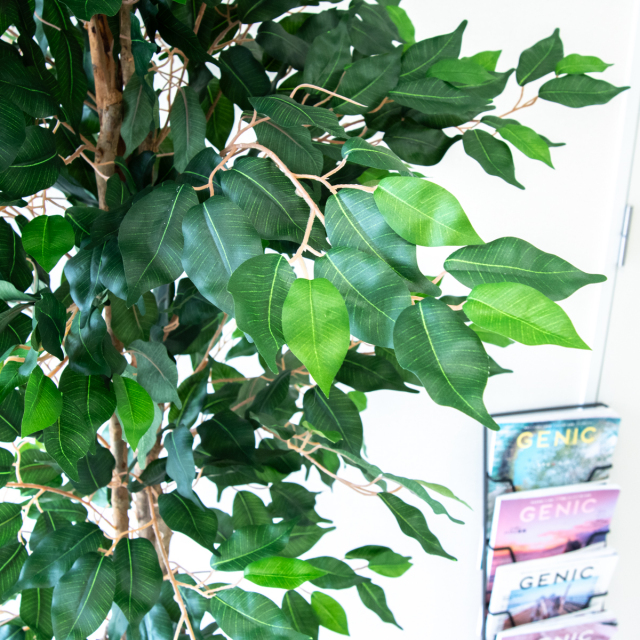 人工 観葉植物 フェイク グリーン ベンジャミンフィカスツリー H約