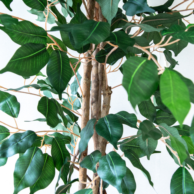 人工 観葉植物 フェイク グリーン ベンジャミンフィカスツリー H約