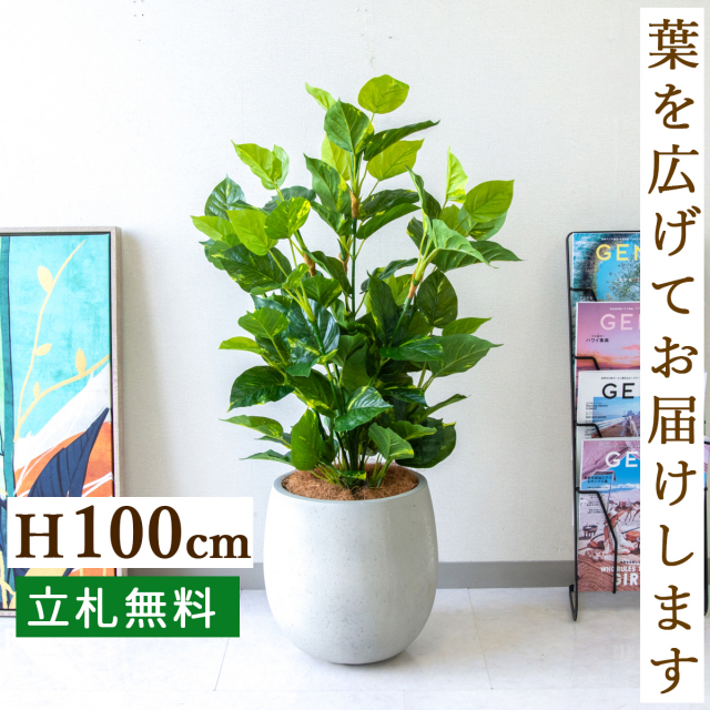 フェイクグリーン フレッシュポトス H約100cm 鉢付き / 人工観葉植物 観葉植物 フェイク 造花 店舗 装飾 開店 開業 移転 祝い ギフト プレゼント おしゃれ 住宅展示場 モデルハウス オフィス 立札無料 /PG093-BAL30IV