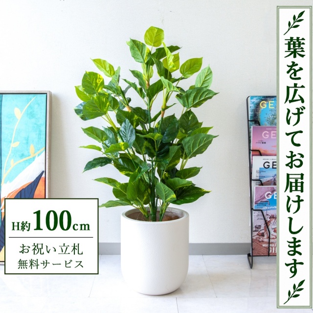 【すぐ飾れる】 フェイクグリーン フレッシュポトス H約100cm 鉢付き / 法人・開店祝い 店舗・オフィス装飾 空間演出 立札無料・造花/PG093-CHC25IV