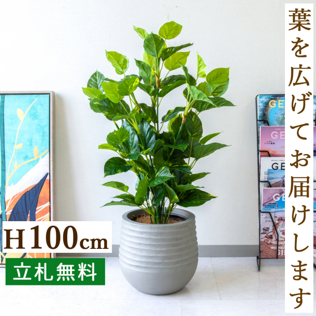 フェイクグリーン フレッシュポトス H約100cm 鉢付き / 人工観葉植物 観葉植物 フェイク 造花 店舗 装飾 開店 開業 移転 祝い ギフト プレゼント おしゃれ 住宅展示場 モデルハウス オフィス 立札無料 /PG093-J30