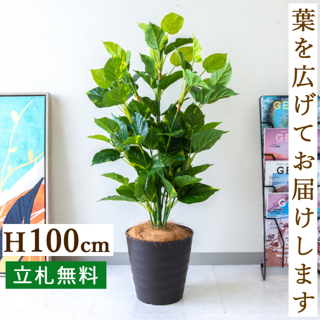 フェイクグリーン フレッシュポトス H約100cm 鉢付き / 人工観葉植物 観葉植物 フェイク 造花 店舗 装飾 開店 開業 移転 祝い ギフト プレゼント おしゃれ 住宅展示場 モデルハウス オフィス 立札無料 /PG093-M24DB