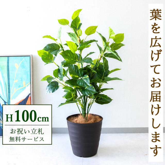 【すぐ飾れる】 フェイクグリーン フレッシュポトス 100cm 鉢付き / 法人・開店祝い 店舗・オフィス装飾 空間演出 立札無料・造花/PG093-M27DB