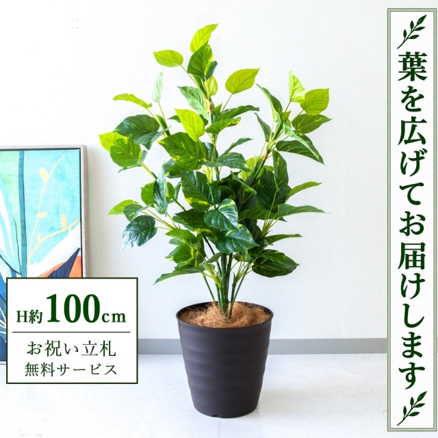 【すぐ飾れる】 フェイクグリーン フレッシュポトス H約100cm 鉢付き / 法人・開店祝い 店舗・オフィス装飾 空間演出 立札無料・造花/PG093-M27DB
