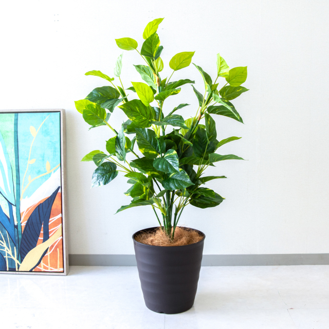 人工 観葉植物 フェイク グリーン パキラ H約145cm 店舗 装飾 開店
