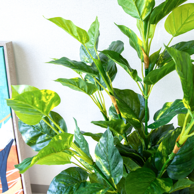 人工 観葉植物 フェイク グリーン パキラ H約145cm 店舗 装飾 開店