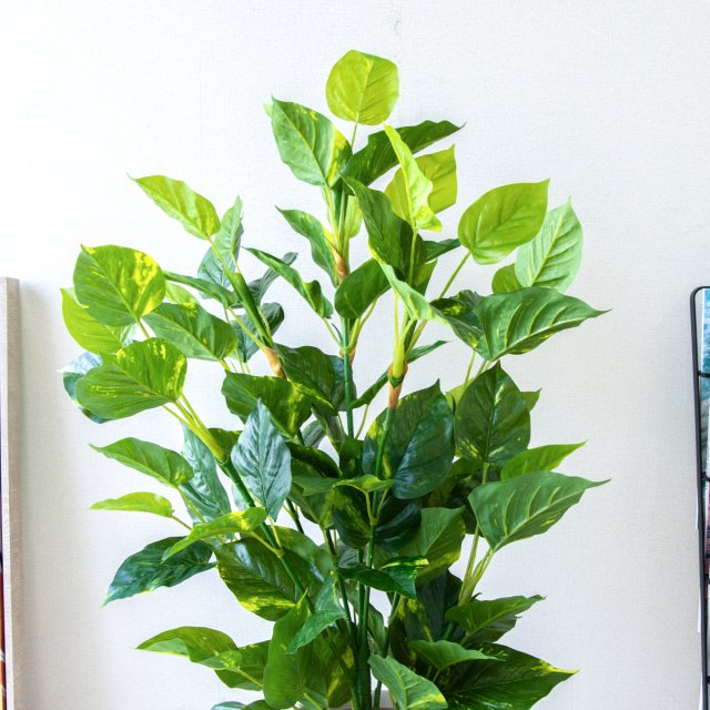 人工 観葉植物 フェイク グリーン パキラ H約145cm 店舗 装飾 開店