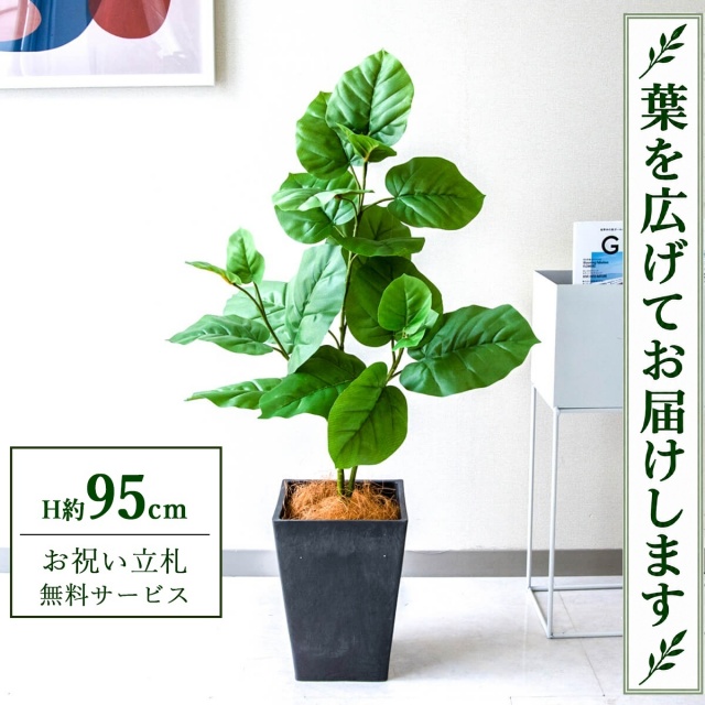 【すぐ飾れる】 フェイクグリーン フィカス ウンベラータ H約95cm 鉢付き / 法人・開店祝い 店舗・オフィス装飾 空間演出 立札無料・造花/PG094-Q20BK