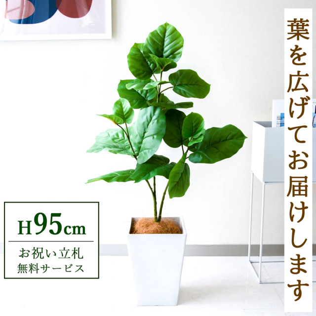 【すぐ飾れる】 フェイクグリーン フィカス ウンベラータ 95cm 鉢付き / 法人・開店祝い 店舗・オフィス装飾 空間演出 立札無料・造花/PG094-Q20WH