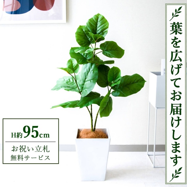 【すぐ飾れる】 フェイクグリーン フィカス ウンベラータ H約95cm 鉢付き / 法人・開店祝い 店舗・オフィス装飾 空間演出 立札無料・造花/PG094-Q20WH