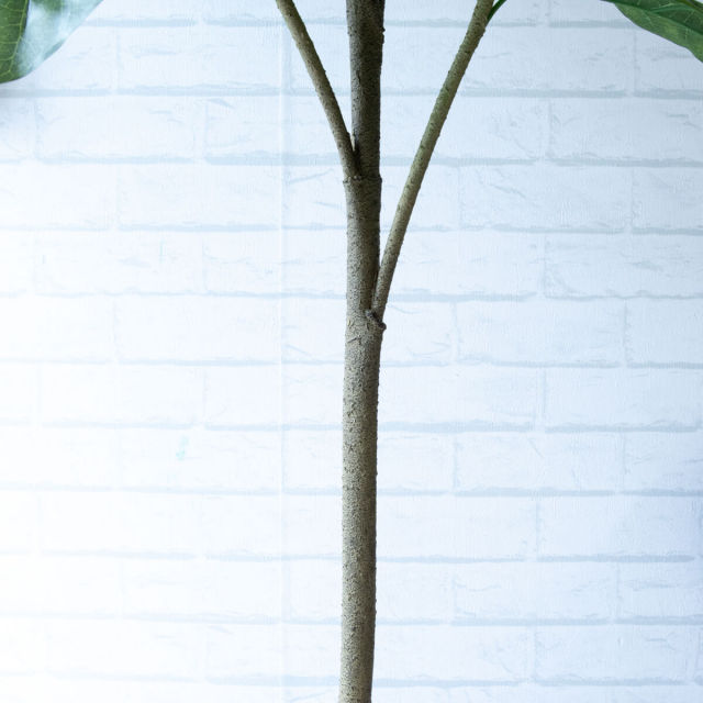 人工 観葉植物 フェイク グリーン ウンベラータ H約150cm 店舗 装飾