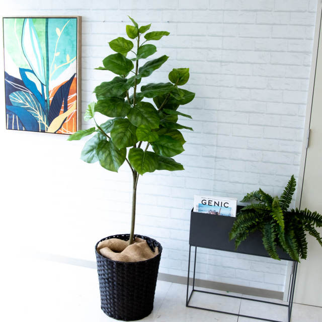 人工 観葉植物 フェイク グリーン ウンベラータ H約150cm 店舗 装飾 人工 観葉植物 フェイク グリーン ウンベラータ H約150cm 店舗 装飾