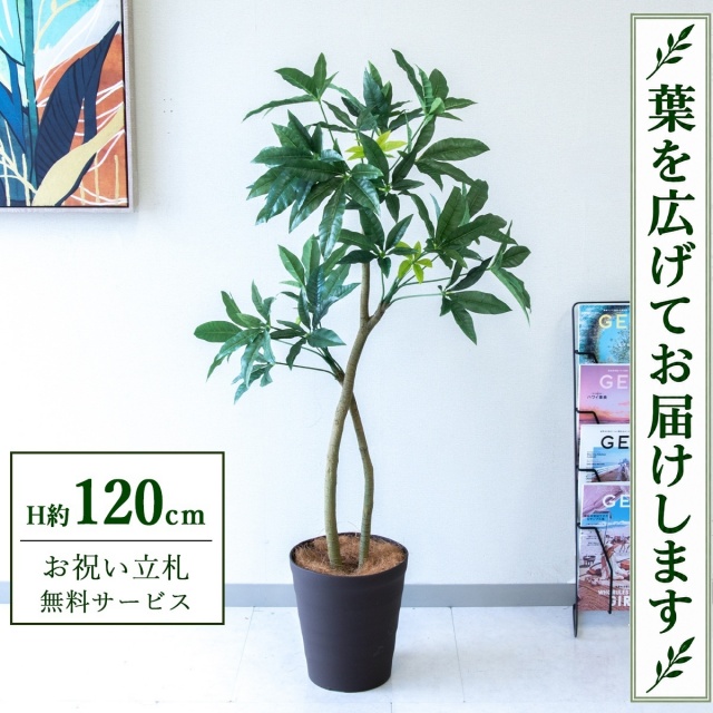 【すぐ飾れる】 フェイクグリーン パキラ H約120cm 鉢付き / 法人・開店祝い 店舗・オフィス装飾 空間演出 立札無料・造花/PG1001-B240BR